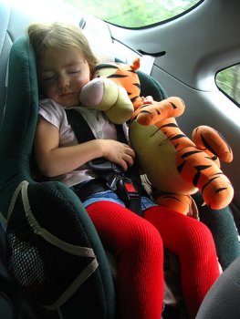 seat_belt.jpg